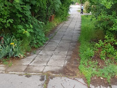 Nyár utca 11